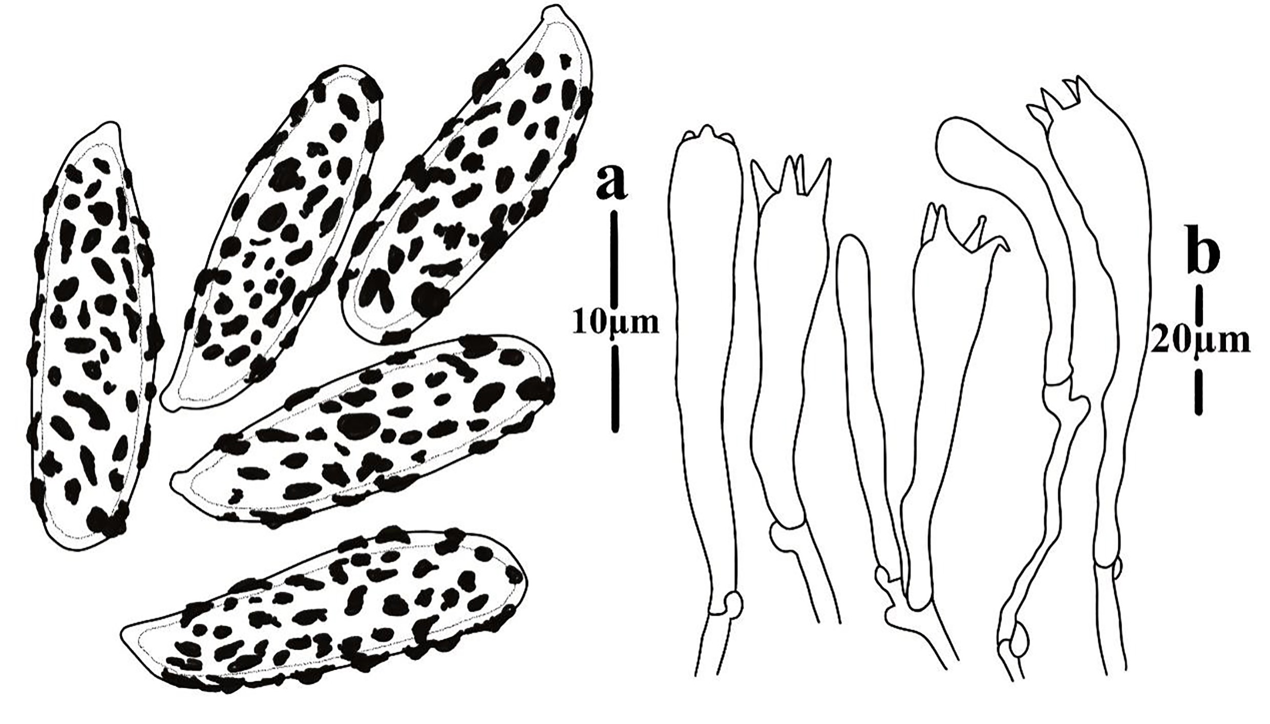 Figure 106